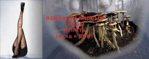 прущий лед Киренск