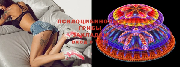 таблы Козловка
