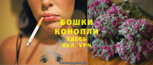 spice Козельск